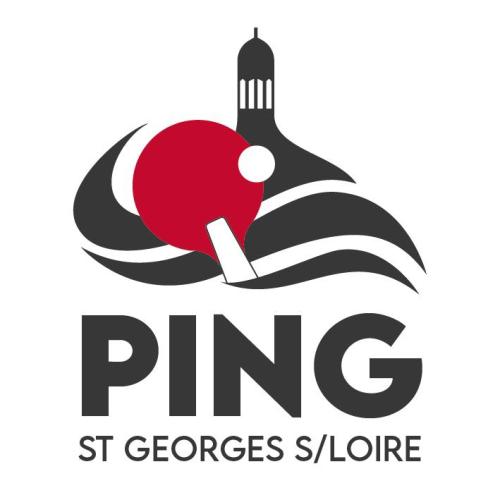 Logo Ping Saint Georges sur Loire